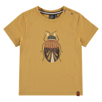 Babyface boys T-shirt scarabee goudgeel
