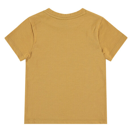 Babyface boys T-shirt scarabee goudgeel